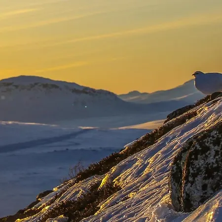 Apartment Ahma Moekki *