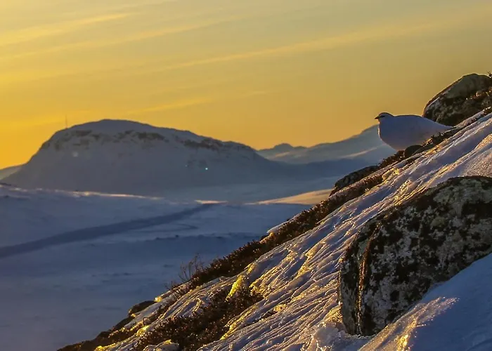 Appartamento Ahma Moekki *